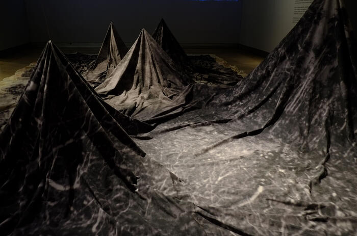 A FLYING FOREST: JOAQUÍN SÁNCHEZ IN VIEDMA