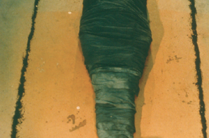 Untitled (El Ixchell Negro), 1977 Lifetime color photograph mounted on board, 20 x 13 1/4 in. © The Estate of Ana Mendieta Collection Courtesy Galerie Lelong, New York. Sin título (El Ixchell Negro), 1977. Fotografía de la artista montada sobre panel de madera, 50,8 x 33,7 cm Copyright de la Colección Sucesión Ana Mendieta. Cortesía de Galérie Lelong, Nueva York.