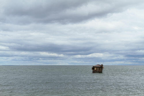 Water House, 2011