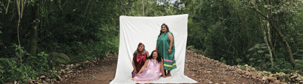 Julio Pantoja. From the series Madres del monte, 2007. 15.7 x 98.4 in. De la serie Madres del monte, 2007. 40 x 250 cm.