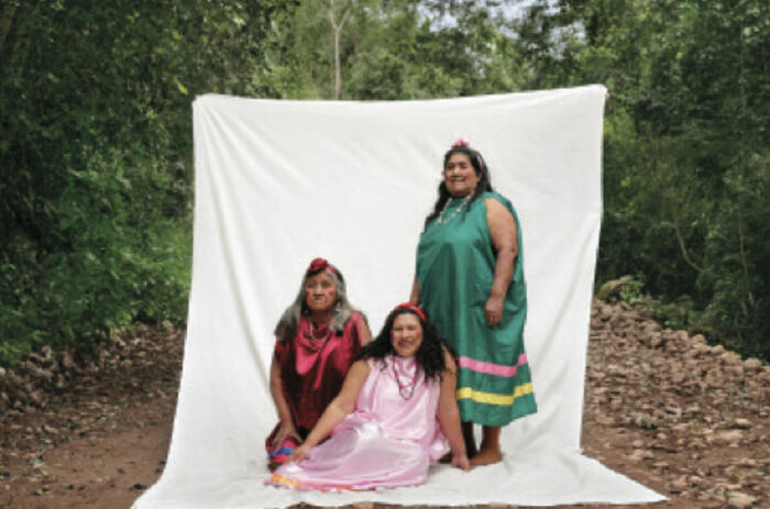 Julio Pantoja. From the series Madres del monte, 2007. 15.7 x 98.4 in. De la serie Madres del monte, 2007. 40 x 250 cm.