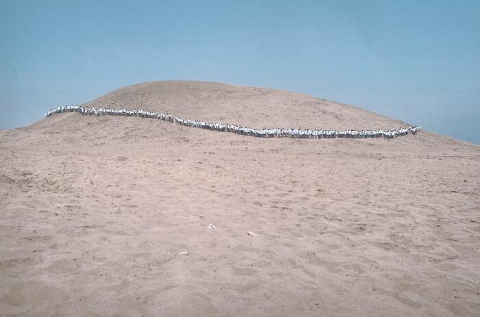 FRANCIS ALŸS: TWO DECADES AFTER HIS PROJECT