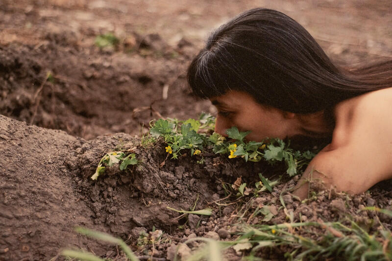 REGINA JOSÉ GALINDO AND HER DECOLONIZING VISION AT LA PANERA