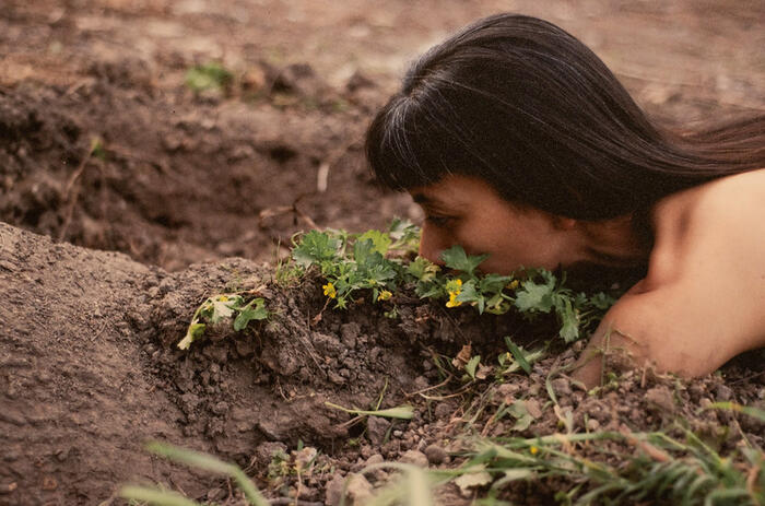 REGINA JOSÉ GALINDO AND HER DECOLONIZING VISION AT LA PANERA