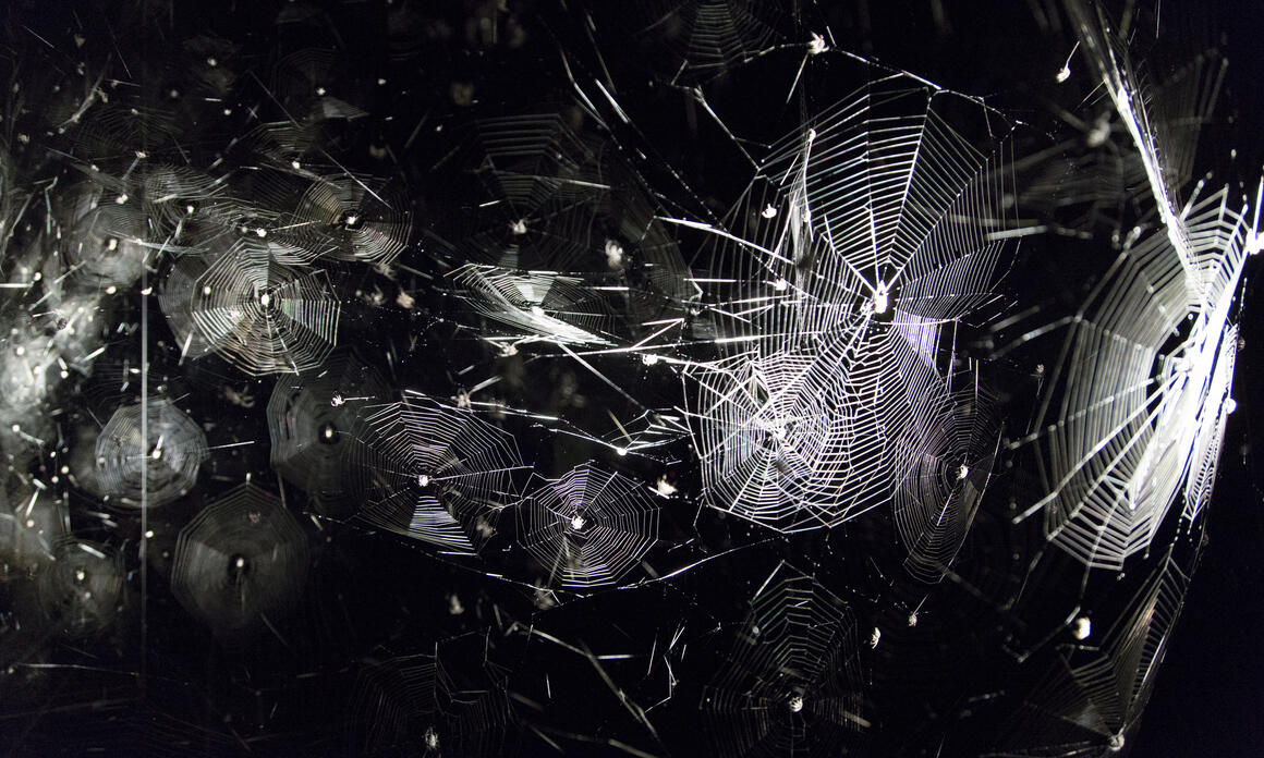 Tomás Saraceno presenta su primer exhibición individual en un museo de Argentina